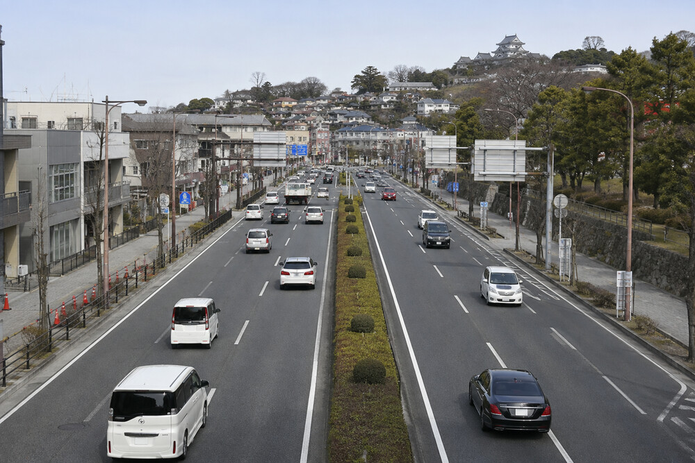 2025年公式データで見る小田原の役員運転手の利用環境